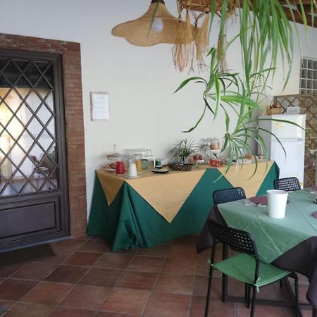 Bed and Breakfast Etnante Zafferana Etnea Exterior foto