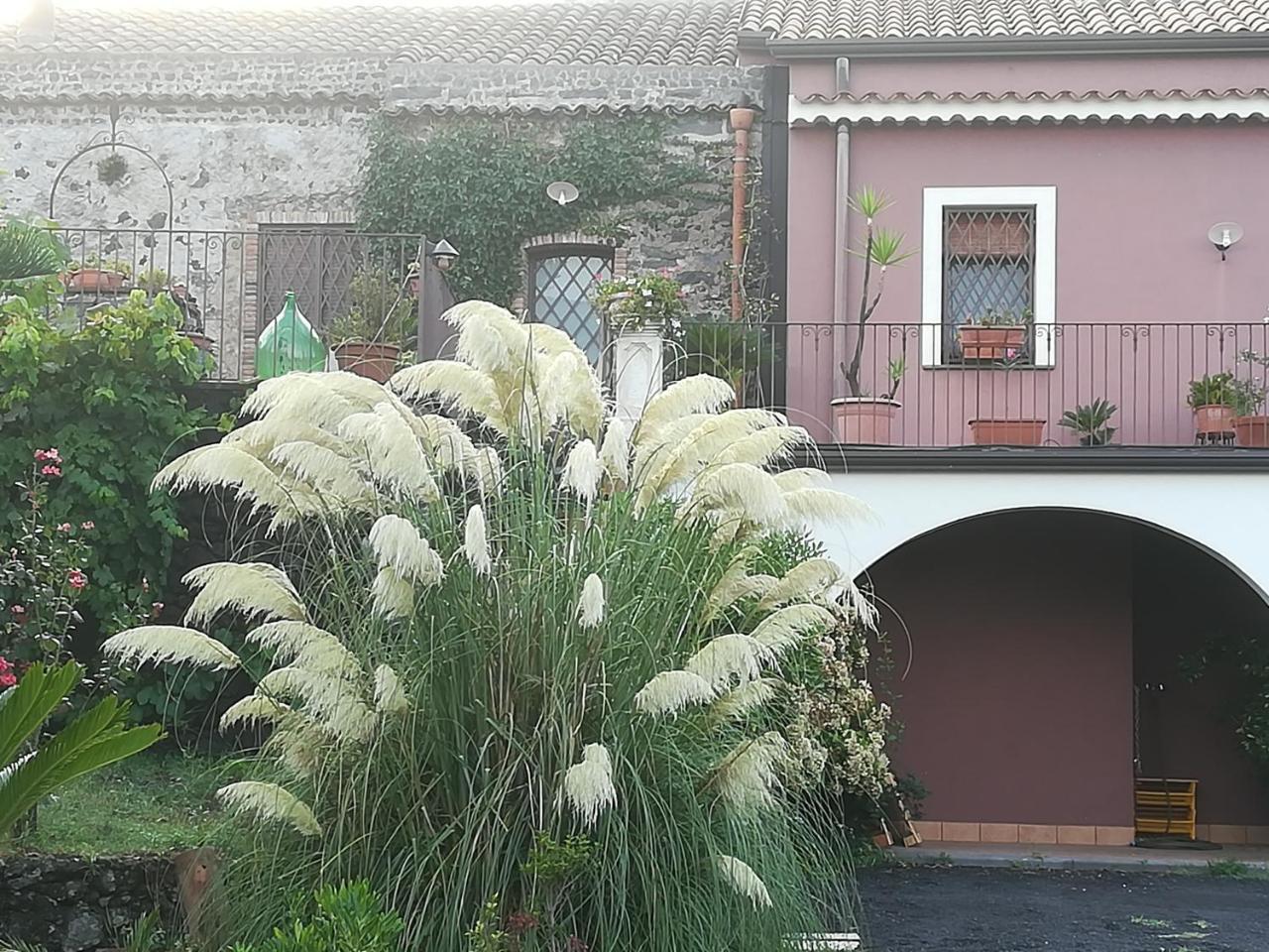 Bed and Breakfast Etnante Zafferana Etnea Exterior foto